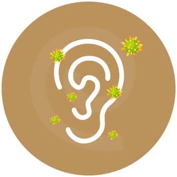 อาการหูตึง_การติดเชื้อภายในช่องหู