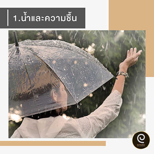 4-สิ่งที่ทำร้าย-เครื่องช่วยฟังของคุณ3