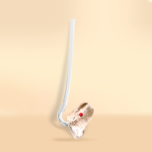 พิมพ์หู เครื่องช่วยฟัง Eamolud Hearingaid สลักช่อย่อ