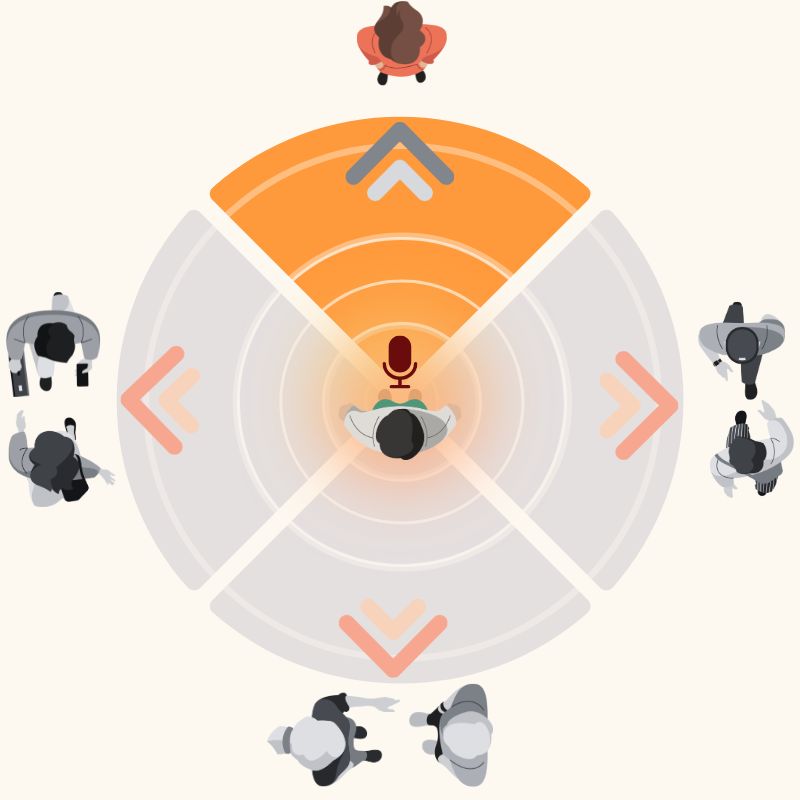 Directional Microphones